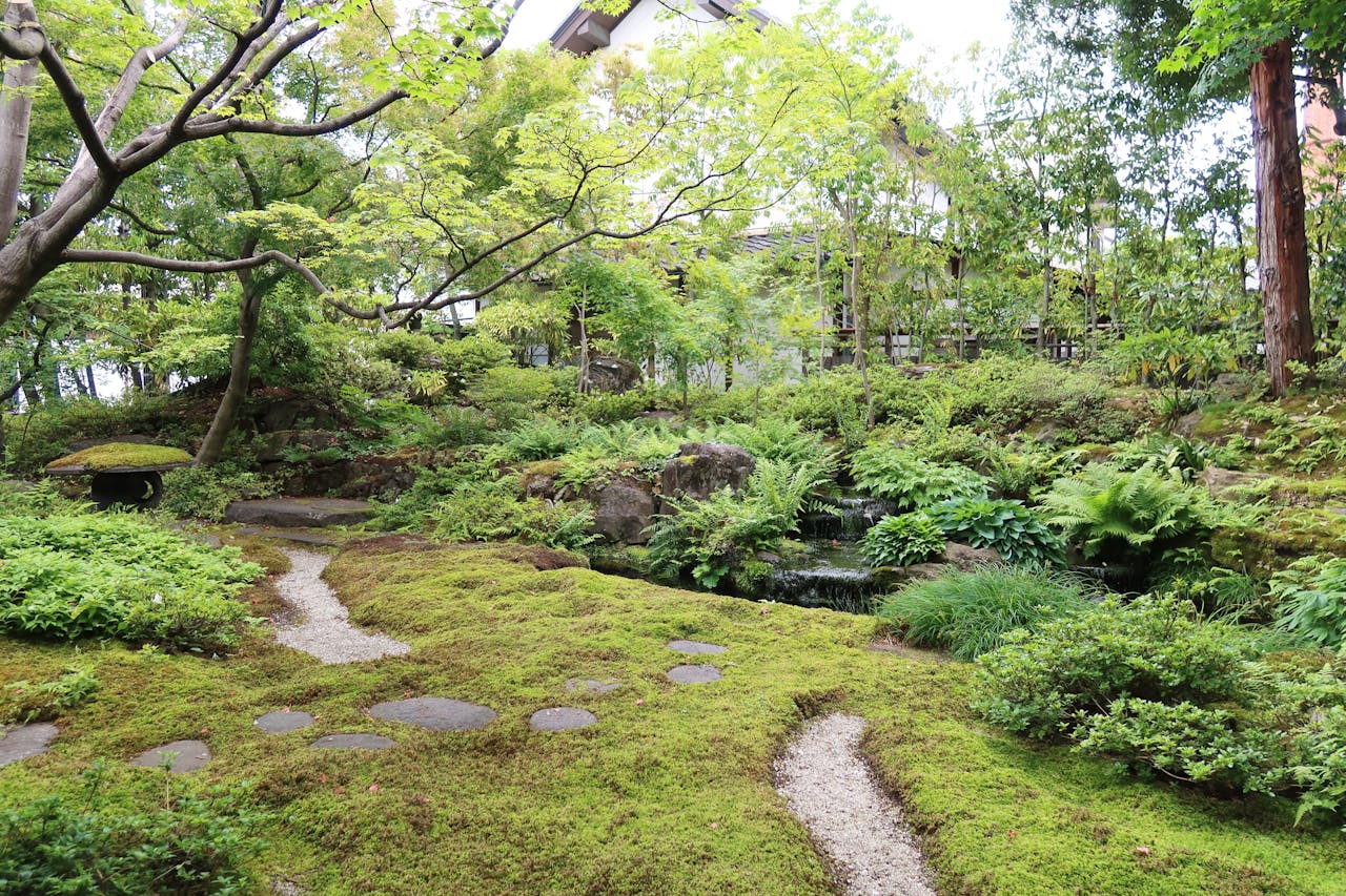 Rigenerazione urbana nel Savonese, 1,5 milioni per sette nuovi interventi