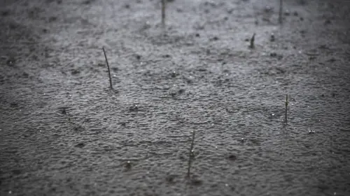 Liguria, notte senza criticità: allerta gialla fino alle 14 sul centro-levante