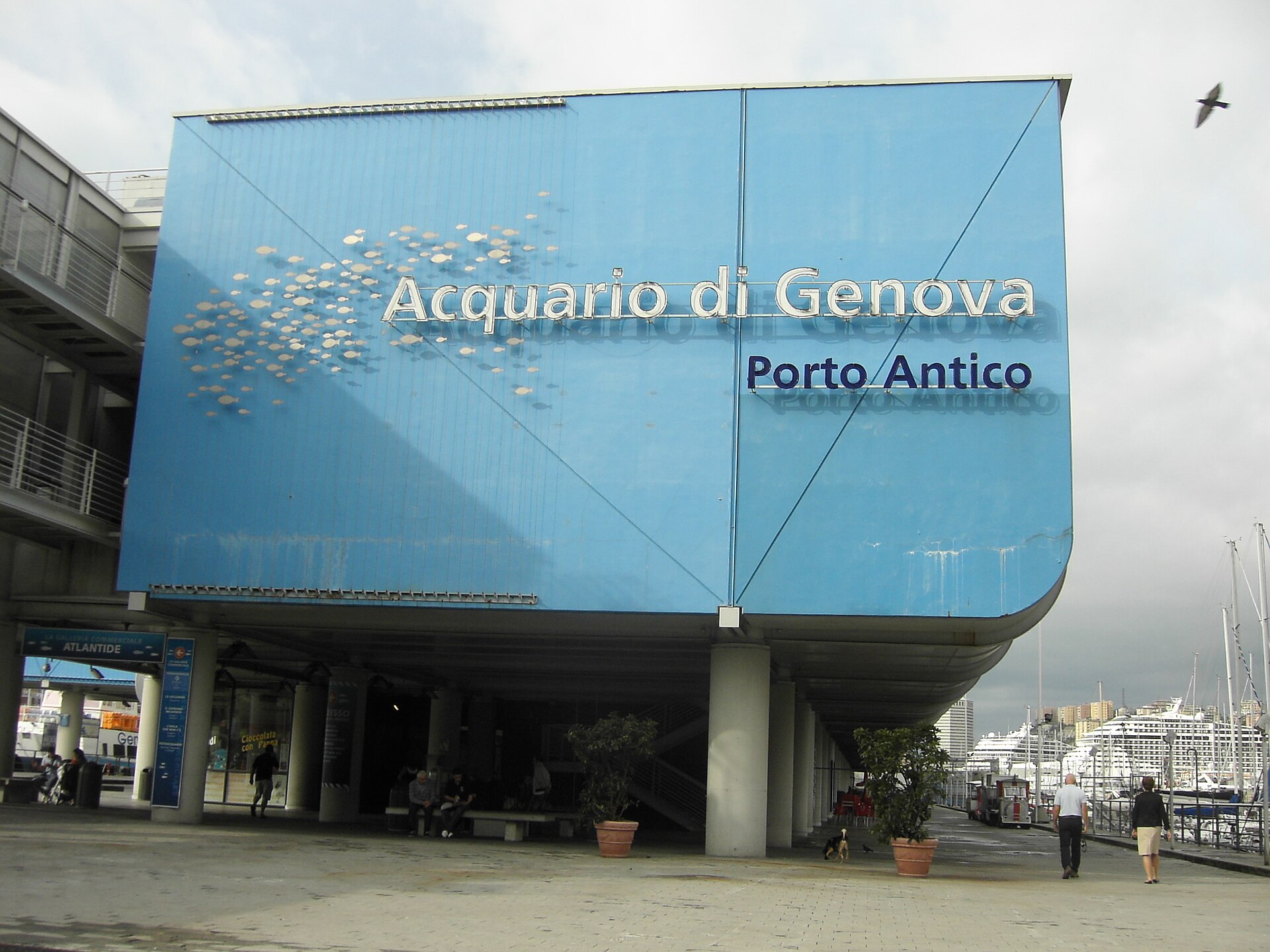 Genova, Festival Sviluppo Sostenibile all’Acquario sul Mediterraneo