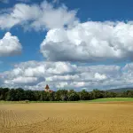 Generazione Terra 2026, domande al via dal 22 aprile: fondi per l’acquisto di terreni agricoli